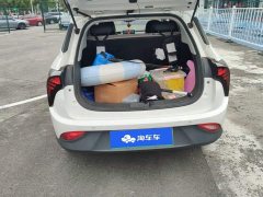 Neta V Long-Range Industry Custom Edition - ფოტო 4