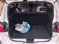 Dongfeng Nanotech EX1 Facelift PRO Yueshe Edition - ფოტო 4