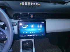 Leapmotor Leapo T03 Radiant Gold Edition - ფოტო 13