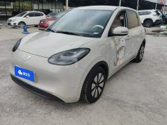 Wuling Binguo 2024 333km Joy Edition - ფოტო 1