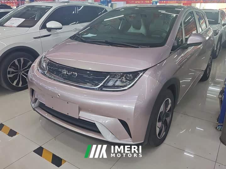 BYD Dolphin Glory Edition 420km Fashion Version - ავტომობილი ჩინეთიდან