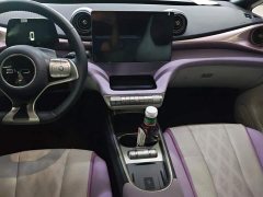 BYD Dolphin Glory Edition 420km Fashion Version - ფოტო 13
