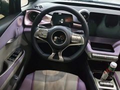BYD Dolphin Glory Edition 420km Fashion Version - ფოტო 15