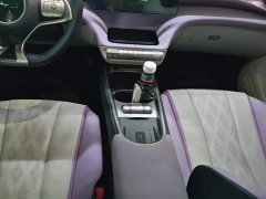 BYD Dolphin Glory Edition 420km Fashion Version - ფოტო 16