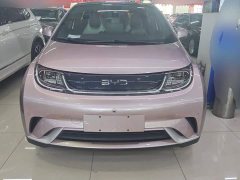 BYD Dolphin Glory Edition 420km Fashion Version - ფოტო 2