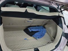 BYD Dolphin Glory Edition 420km Fashion Version - ფოტო 4