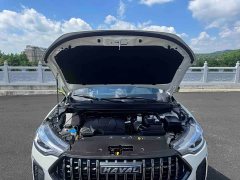 Haval Chitu Jingxiang Edition 1.5T Purple Copper Rabbit - ფოტო 19