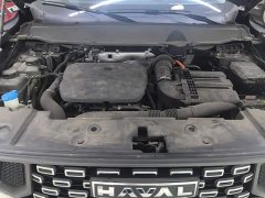 Haval Big Dog PLUS New Energy DHT-PHEV 105km Trendy Electric Edition Plus - ფოტო 10