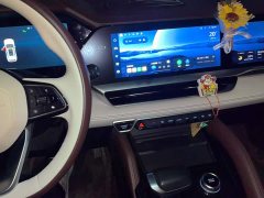 Geely Xingyue L 2021 2.0T High-Power Automatic AWD Flagship - ფოტო 13