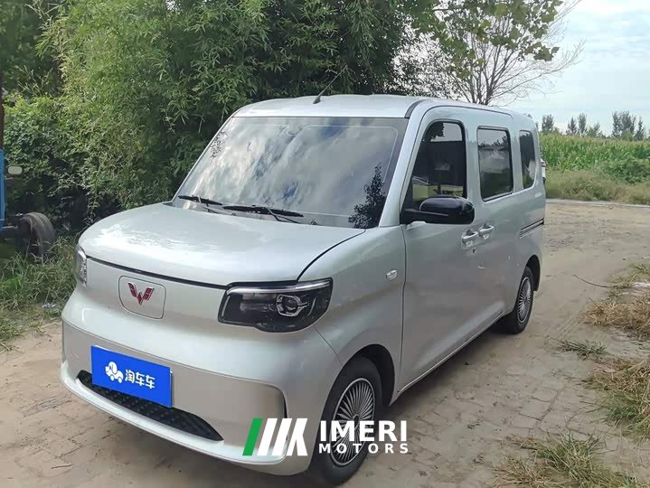 Wuling Zhiguang New Energy 201km Standard - ავტომობილი ჩინეთიდან