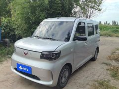 Wuling Zhiguang New Energy 201km Standard - ფოტო 1