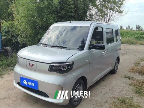 2025 Wuling Zhiguang New Energy 201km Standard - ავტომობილი ჩინეთიდან