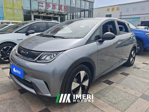 2023 BYD Dolphin 420km Freedom Edition - ავტომობილი ჩინეთიდან