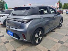 BYD Dolphin 420km Freedom Edition - ფოტო 3
