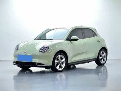 ORA Good Cat 2023 401km Standard Range Luxury LFP - ფოტო 1