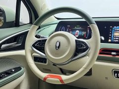 ORA Good Cat 2023 401km Standard Range Luxury LFP - ფოტო 11