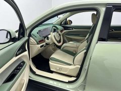 ORA Good Cat 2023 401km Standard Range Luxury LFP - ფოტო 12