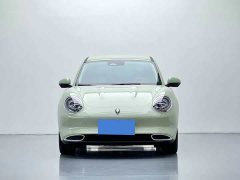 ORA Good Cat 2023 401km Standard Range Luxury LFP - ფოტო 2