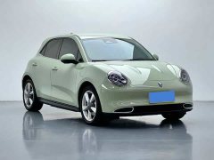 ORA Good Cat 2023 401km Standard Range Luxury LFP - ფოტო 3