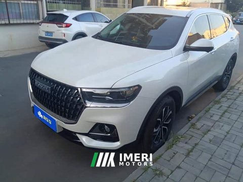 2024 Haval H6 2023 National Trend Edition 1.5T Automatic Urban Version - ავტომობილი ჩინეთიდან