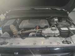 Tank 300 2025 2.0T Gasoline Challenger - ფოტო 10