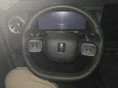 Tank 300 2025 2.0T Gasoline Challenger - ფოტო 15