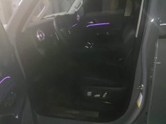 Tank 300 2025 2.0T Gasoline Challenger - ფოტო 9