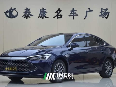 2023 BYD Qin PLUS Champion Edition DM-i 55KM Leading - автомобиль из Китая