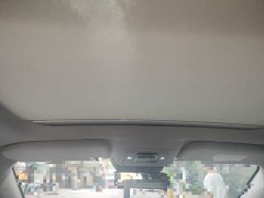 BYD Yuan Pro Lifetime Edition - ფოტო 19