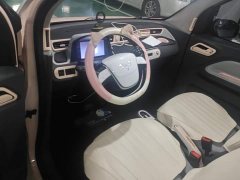 Wuling Hongguang MINIEV 2020 Deluxe Edition LFP Battery - ფოტო 12