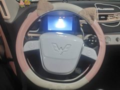 Wuling Hongguang MINIEV 2020 Deluxe Edition LFP Battery - ფოტო 15