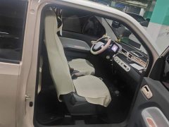 Wuling Hongguang MINIEV 2020 Deluxe Edition LFP Battery - ფოტო 8