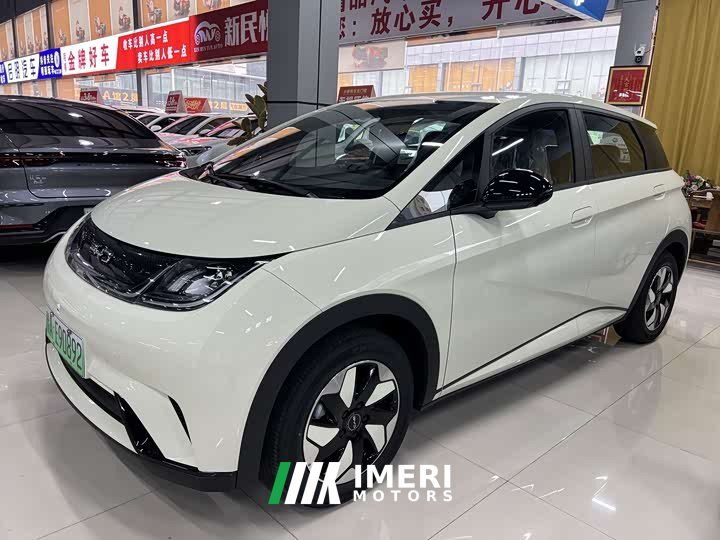 BYD Dolphin 2025 420km Freedom Edition - ავტომობილი ჩინეთიდან