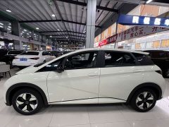 BYD Dolphin 2025 420km Freedom Edition - ფოტო 4
