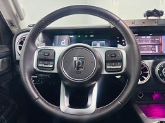 Tank 300 2021 Off-Road Edition 2.0T Conqueror - ფოტო 12