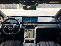 Wuling Xingguang S 2025 130km Flagship - ფოტო 11