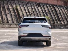 Wuling Xingguang S 2025 130km Flagship - ფოტო 6