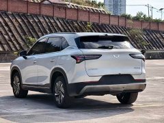 Wuling Xingguang S 2025 130km Flagship - ფოტო 7
