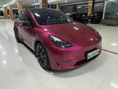 Tesla Model Y 2022 Performance All-Wheel Drive - ფოტო 3