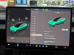 Tesla Model Y 2022 Performance All-Wheel Drive - ფოტო 4
