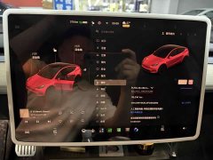 Tesla Model Y 2022 Performance All-Wheel Drive - ფოტო 7