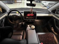 Tesla Model Y 2022 Performance All-Wheel Drive - ფოტო 8