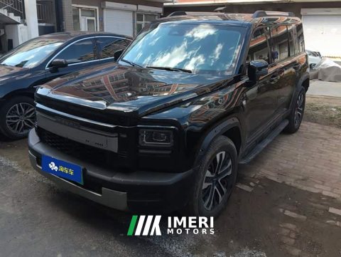 2026 Great Wall Menlong PLUS Hi4 195 Max Pilot Edition - ავტომობილი ჩინეთიდან