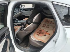 BYD Qin Plus 2023 Champion Edition DM-i 120KM Excellence - ფოტო 11