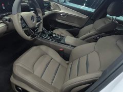 BYD Han 2020 EV Ultra-Long Range Luxury - ფოტო 9