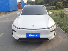Tesla Model Y Long Range All-Wheel Drive Launch Edition - ფოტო 2