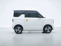 Geely Panda Mini New Spring Edition Treasure Bear - ფოტო 2