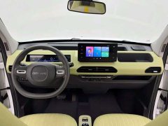 Geely Panda Mini New Spring Edition Treasure Bear - ფოტო 3