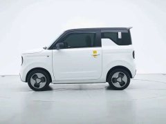 Geely Panda Mini New Spring Edition Treasure Bear - ფოტო 4