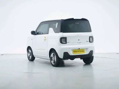 Geely Panda Mini New Spring Edition Treasure Bear - ფოტო 5